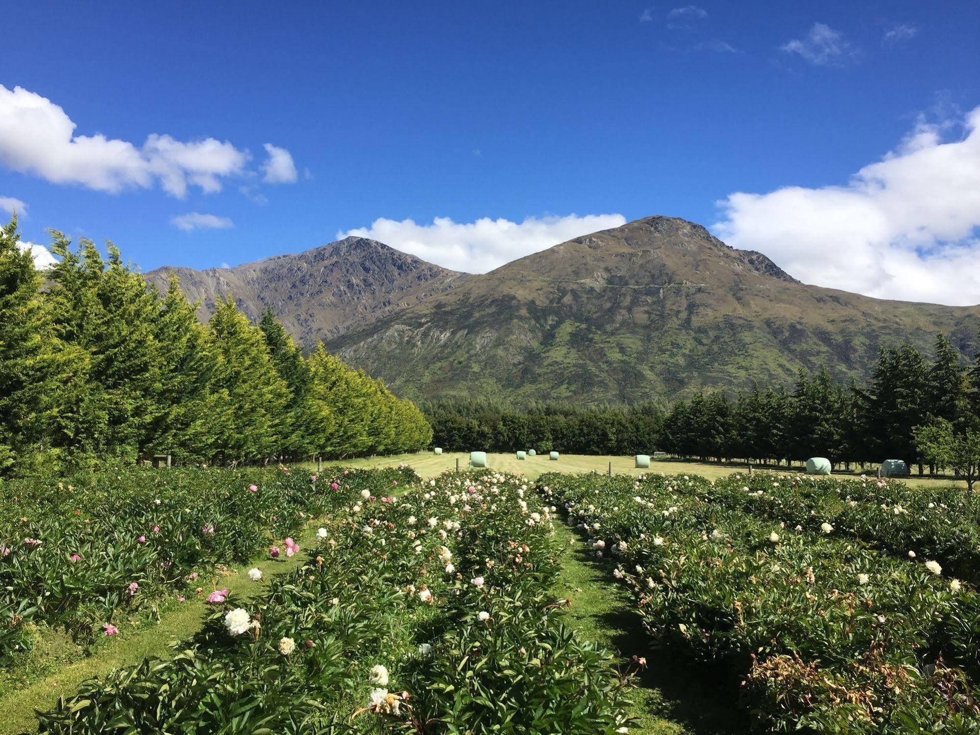 Queenstown Country Lodge Lake Hayes Buitenkant foto